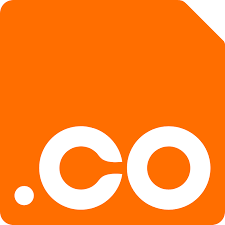 .co alan adı
