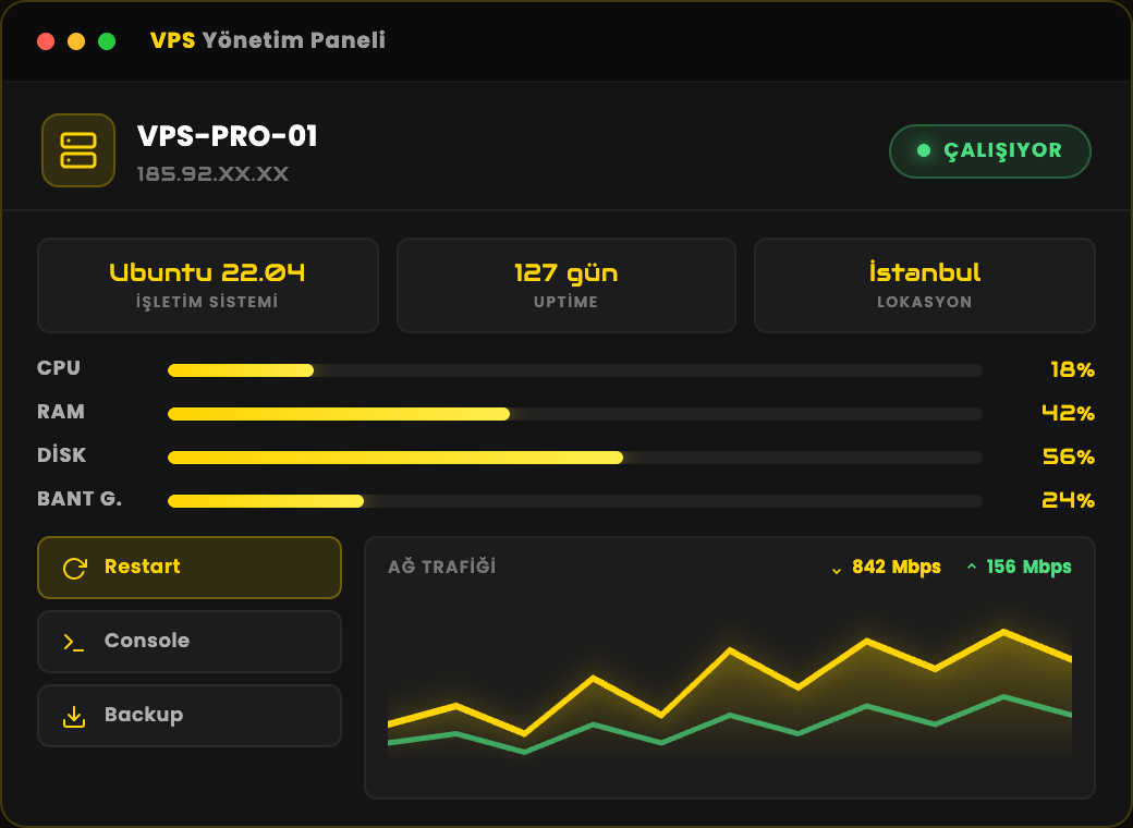 VPS Yönetim Paneli